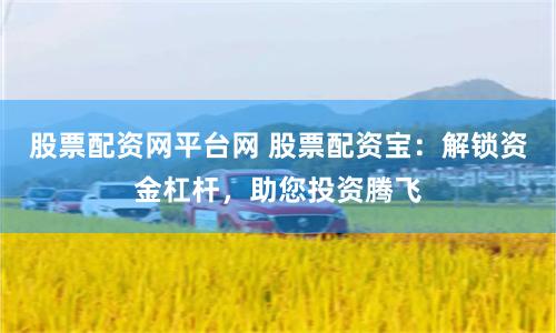 股票配资网平台网 股票配资宝：解锁资金杠杆，助您投资腾飞