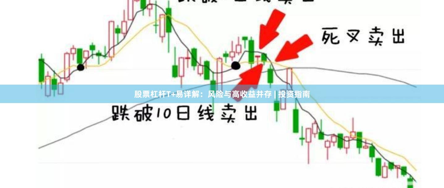 股票杠杆T+易详解：风险与高收益并存 | 投资指南